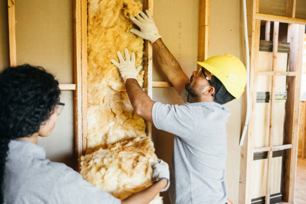  , USA Foam Insulation Services Pros